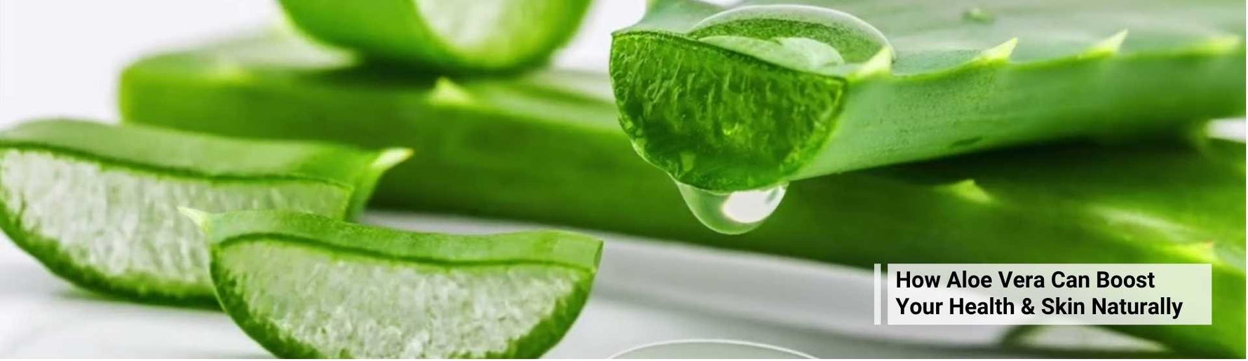 How Aloe Vera Can Boost Your Health & Skin Naturally