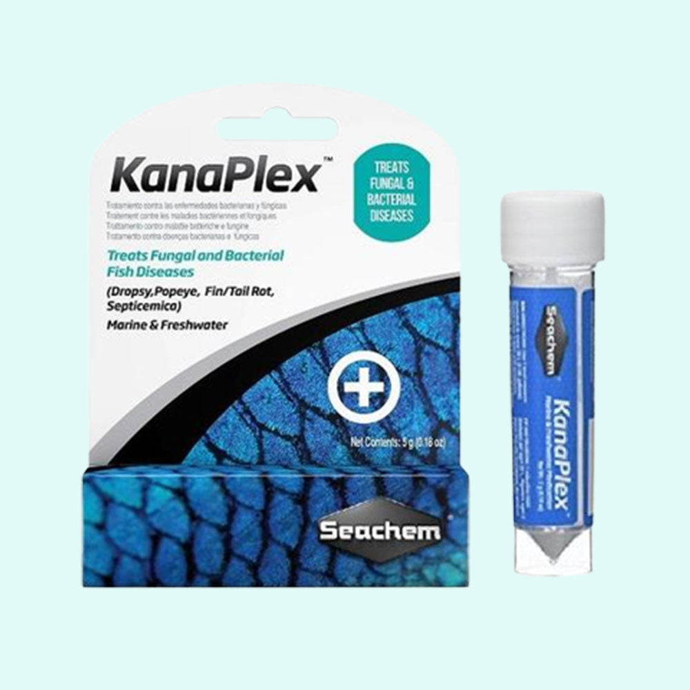 Seachem Kanaplex Marine & Freshwater live houseplant from Divine Roots