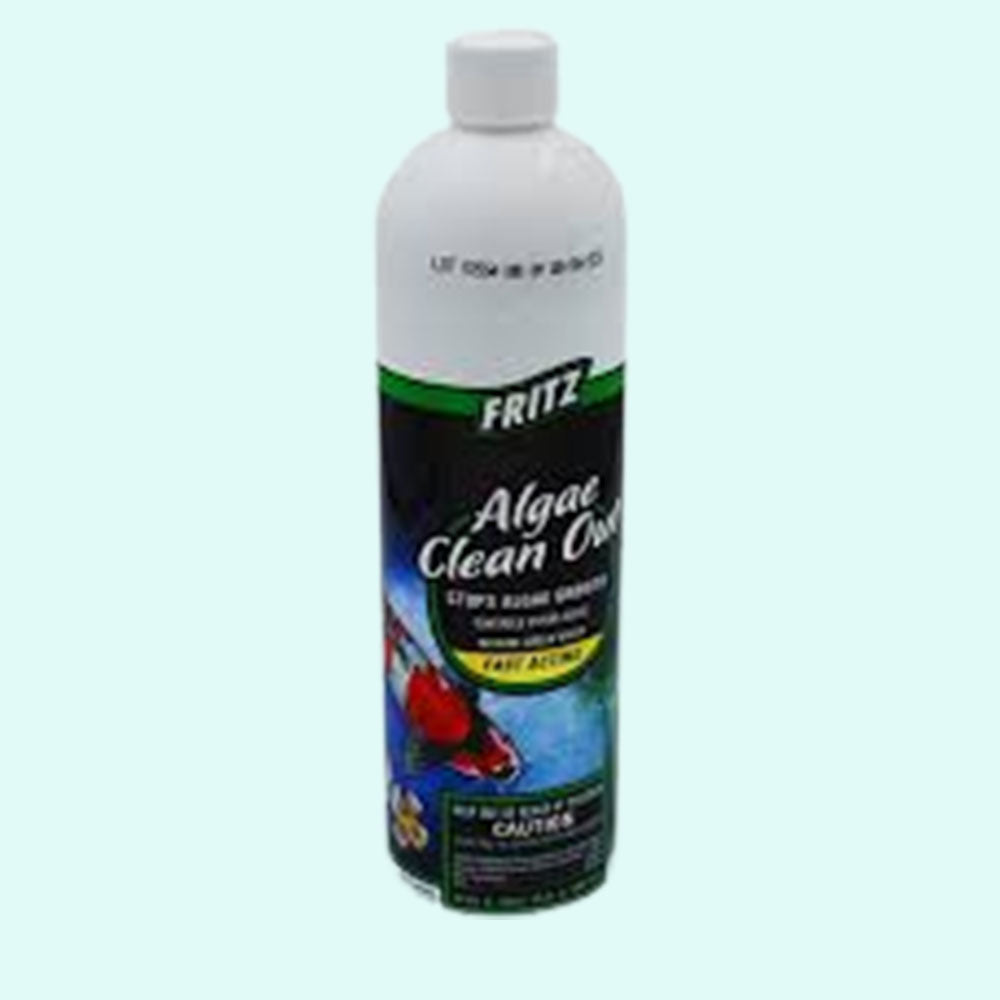 Fritz Algae Clean Out Parent (8 oz) live houseplant from Divine Roots