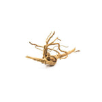 top view of Aquarium Hardscape DriftWood: SpiderWood live houseplant from Divine Roots