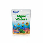 new growth on Hikari Algae Wafers for Pets, 0.70-Ounce live houseplant from Divine Roots