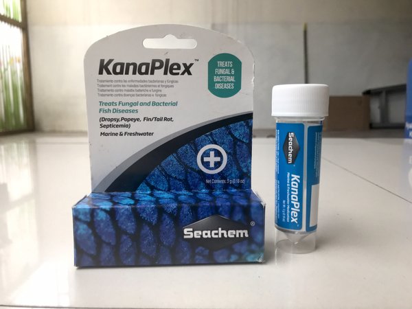 full view of Seachem Kanaplex Marine & Freshwater live houseplant from Divine Roots