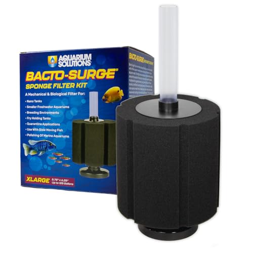 Hikari Bacto-Surge Foam Filter, XL (125 Gallon) live houseplant from Divine Roots