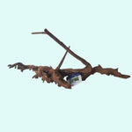 Pacific Wood For Aquascaping live houseplant from Divine Roots