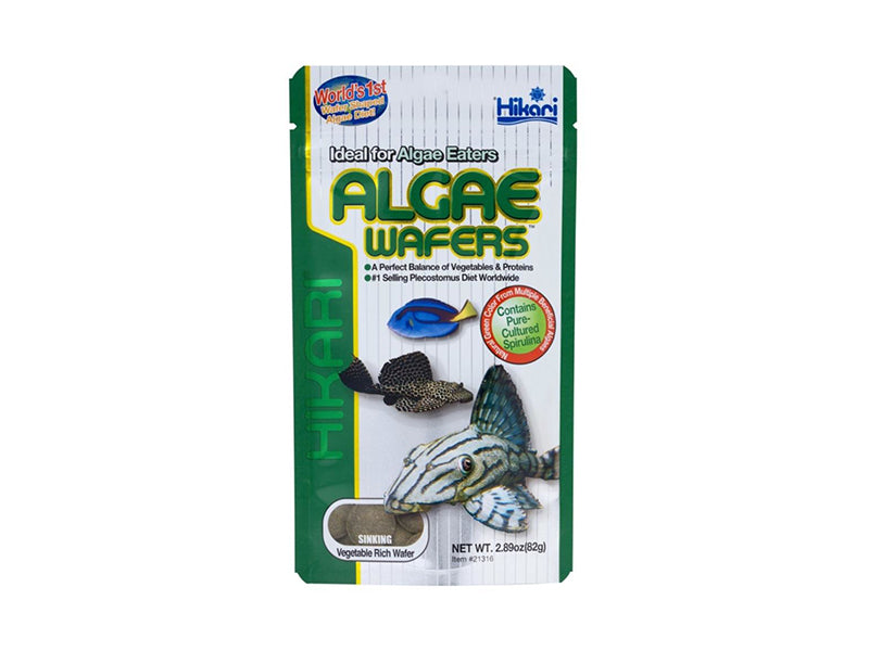 Hikari Algae Wafers for Pets, 0.70-Ounce live houseplant from Divine Roots