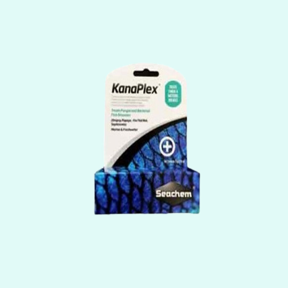 potted Seachem Kanaplex Marine & Freshwater live houseplant from Divine Roots
