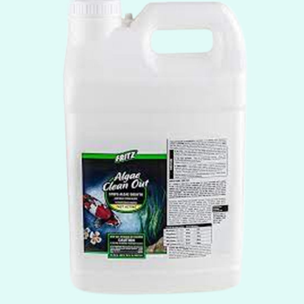full view of Fritz Algae Clean Out Parent (8 oz) live houseplant from Divine Roots