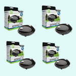 mature specimen of Aquael MiniBoost 100 Aquarium Air Pump live houseplant from Divine Roots