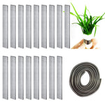 leaf detail of Aquatic Aquarium Plant Anchor Weights live houseplant from Divine Roots
