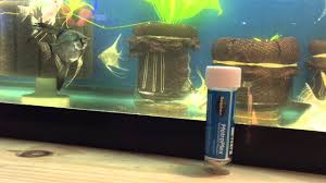 side profile of Seachem MetroPlex Marine & Freshwater Live Aquarium Plants live houseplant from Divine Roots