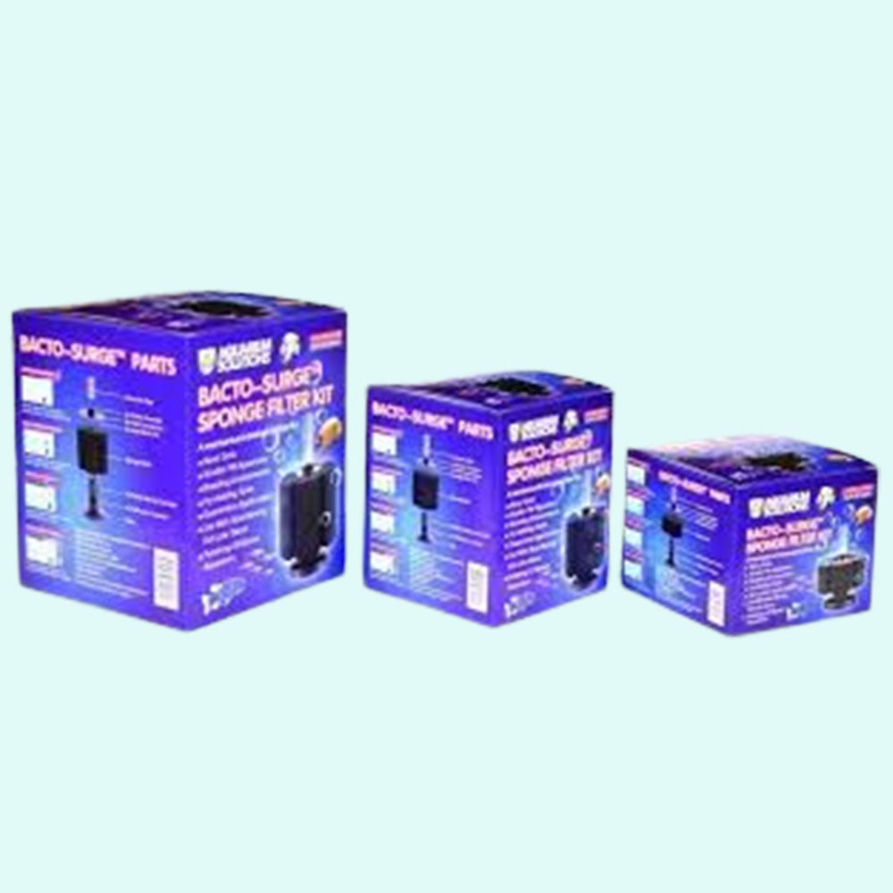 Hikari Aquarium Solutions Bacto Surge Foam Filter Small live houseplant from Divine Roots