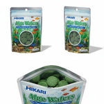potted Hikari Algae Wafers for Pets, 0.70-Ounce live houseplant from Divine Roots
