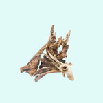 full view of Pacific Wood For Aquascaping live houseplant from Divine Roots
