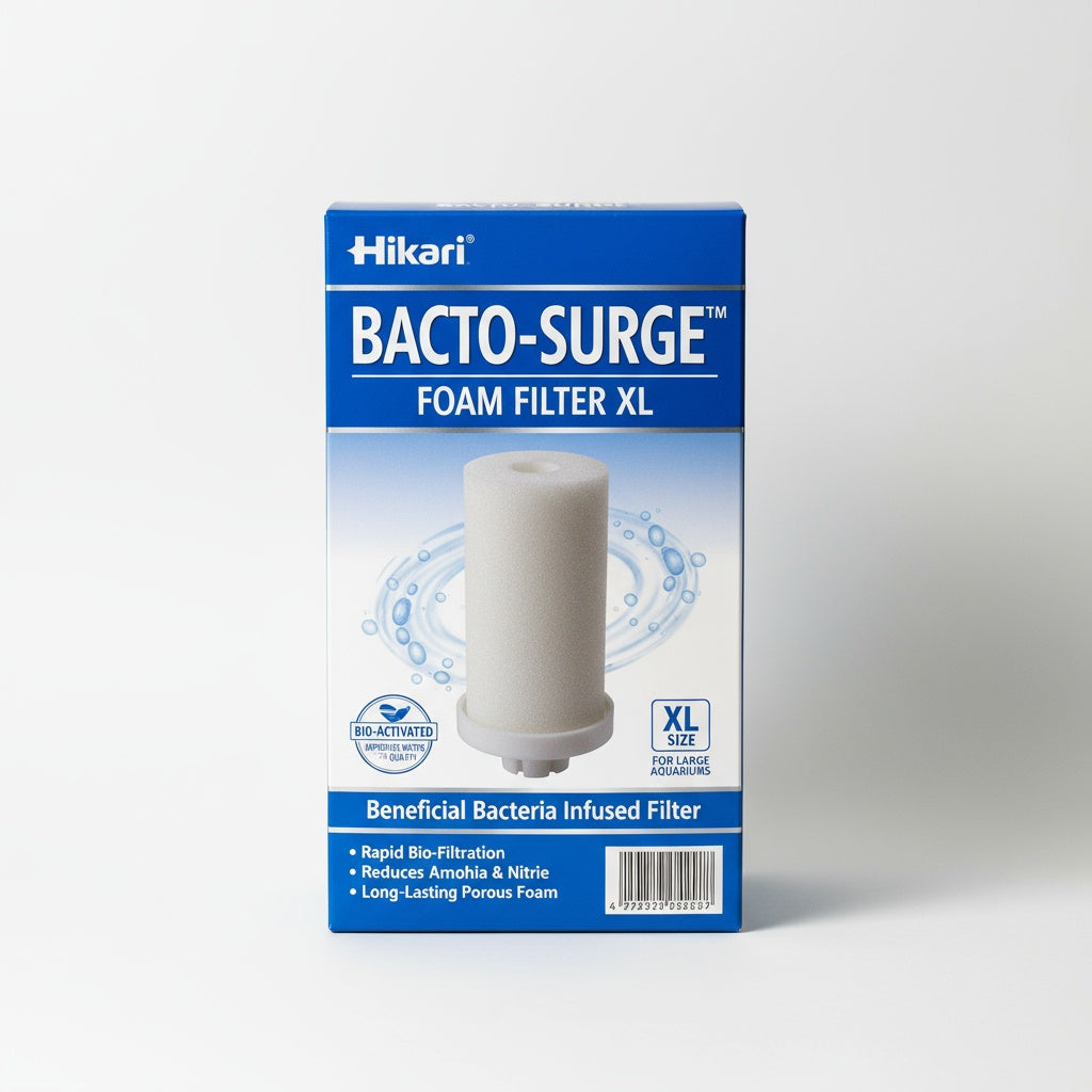 new growth on Hikari Bacto-Surge Foam Filter, XL (125 Gallon) live houseplant from Divine Roots