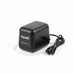 growth pattern of AquaEl Miniboost 100 Air Pump live houseplant from Divine Roots