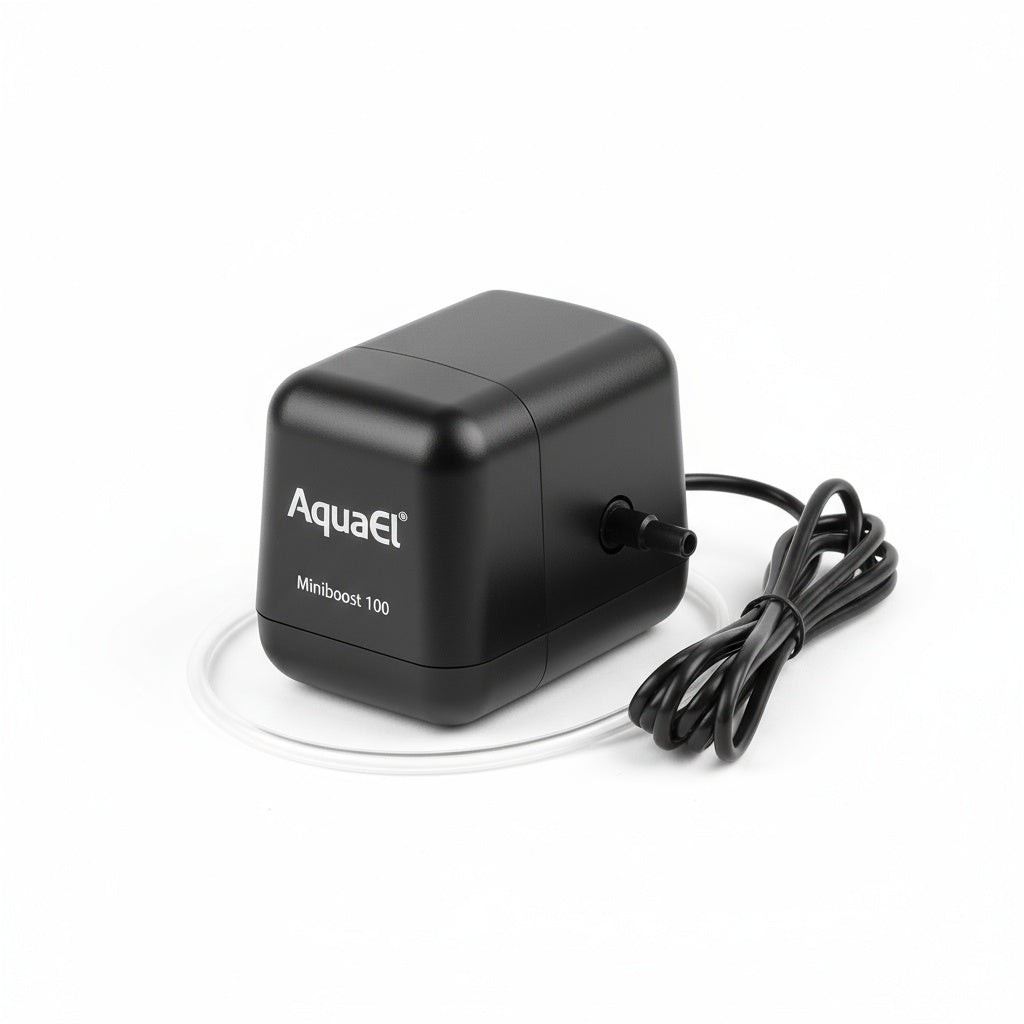 growth pattern of AquaEl Miniboost 100 Air Pump live houseplant from Divine Roots