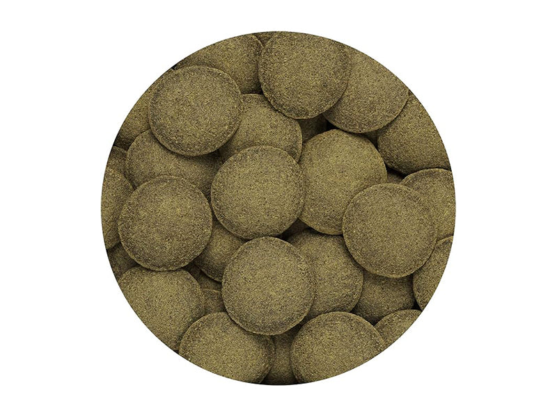 side profile of Hikari Algae Wafers for Pets, 0.70-Ounce live houseplant from Divine Roots