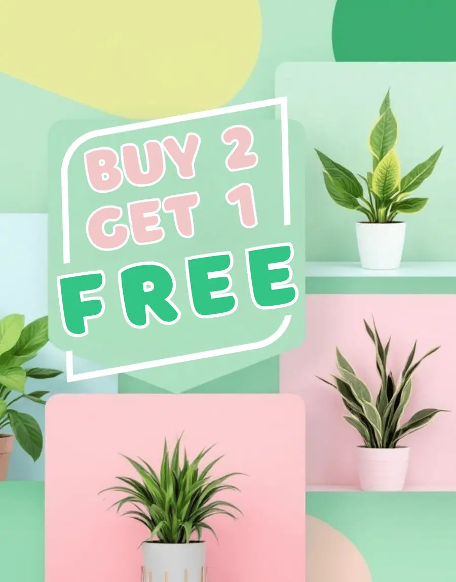 Buy 2 Get 1 Free Divine Roots Plants 
 Collection Banner