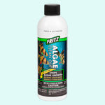 potted Fritz Algae Clean Out Parent (8 oz) live houseplant from Divine Roots