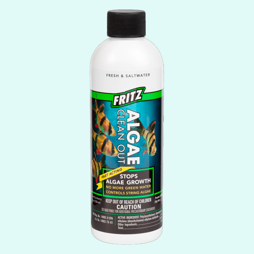 potted Fritz Algae Clean Out Parent (8 oz) live houseplant from Divine Roots