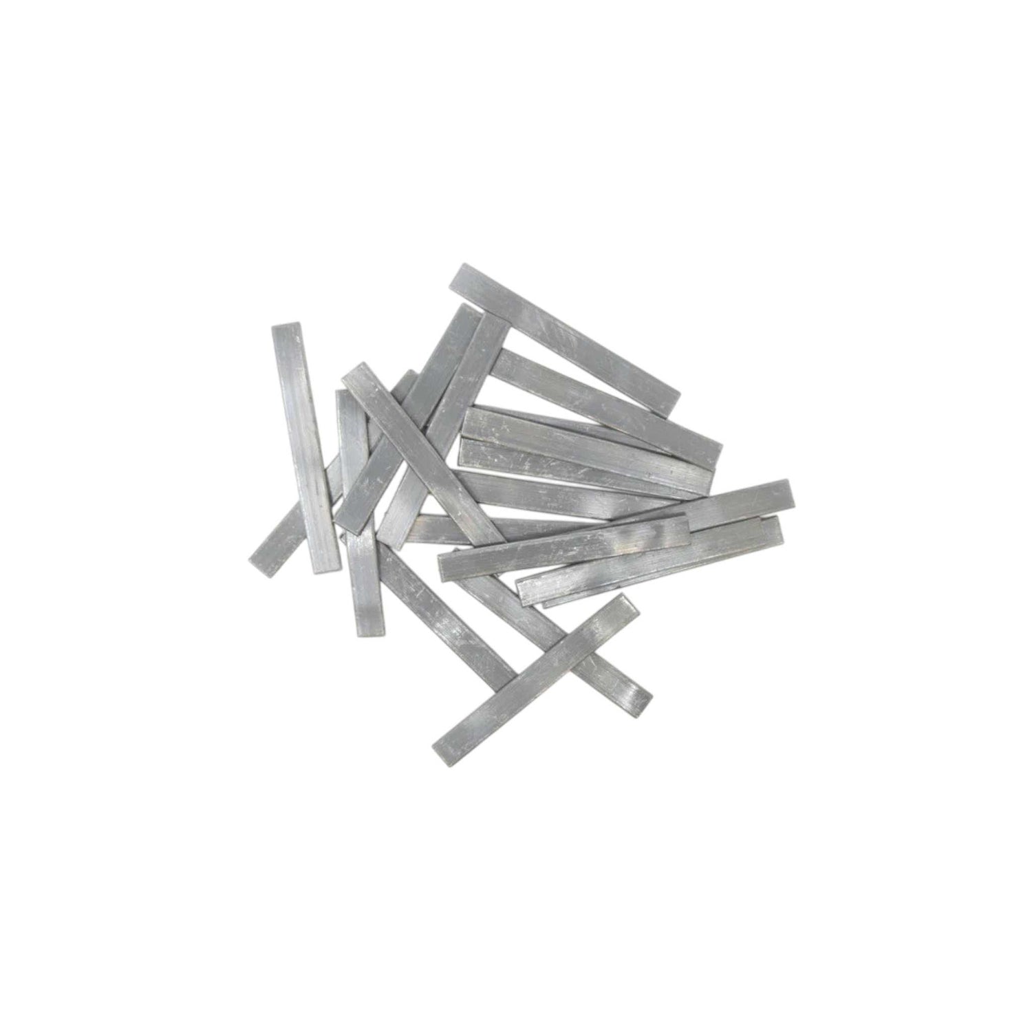 Aquatic Aquarium Plant Anchor Weights live houseplant from Divine Roots