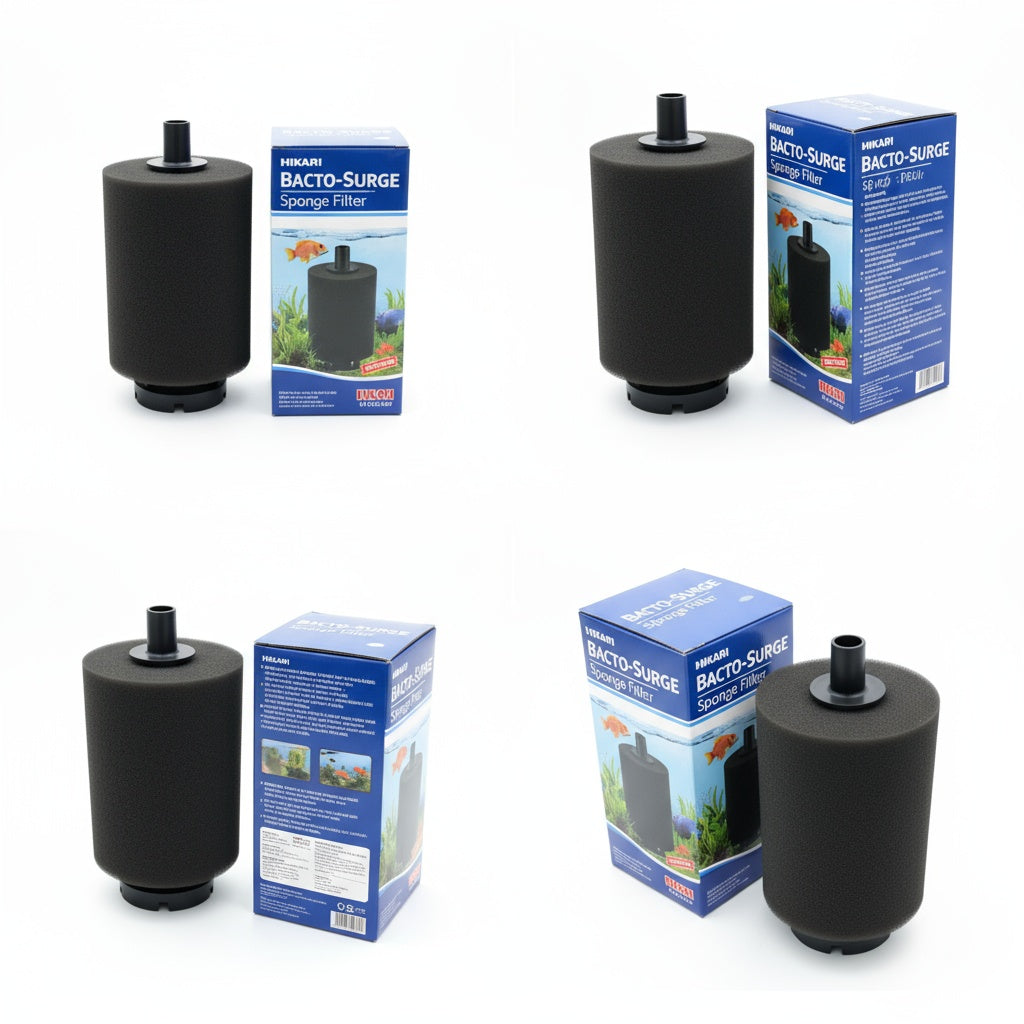 growth pattern of Hikari Bacto-Surge Foam Filter, XL (125 Gallon) live houseplant from Divine Roots
