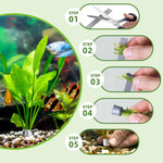 new growth on Aquatic Aquarium Plant Anchor Weights live houseplant from Divine Roots