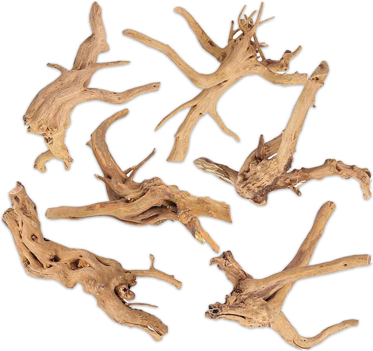 side profile of Aquarium Hardscape DriftWood: SpiderWood live houseplant from Divine Roots