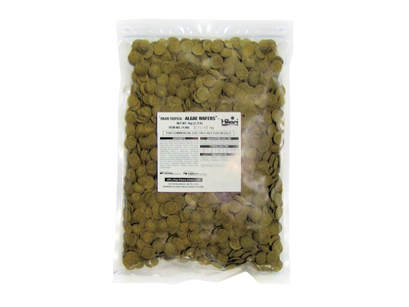 top view of Hikari Algae Wafers for Pets, 0.70-Ounce live houseplant from Divine Roots