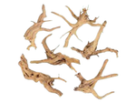 Aquarium Hardscape DriftWood: SpiderWood live houseplant from Divine Roots