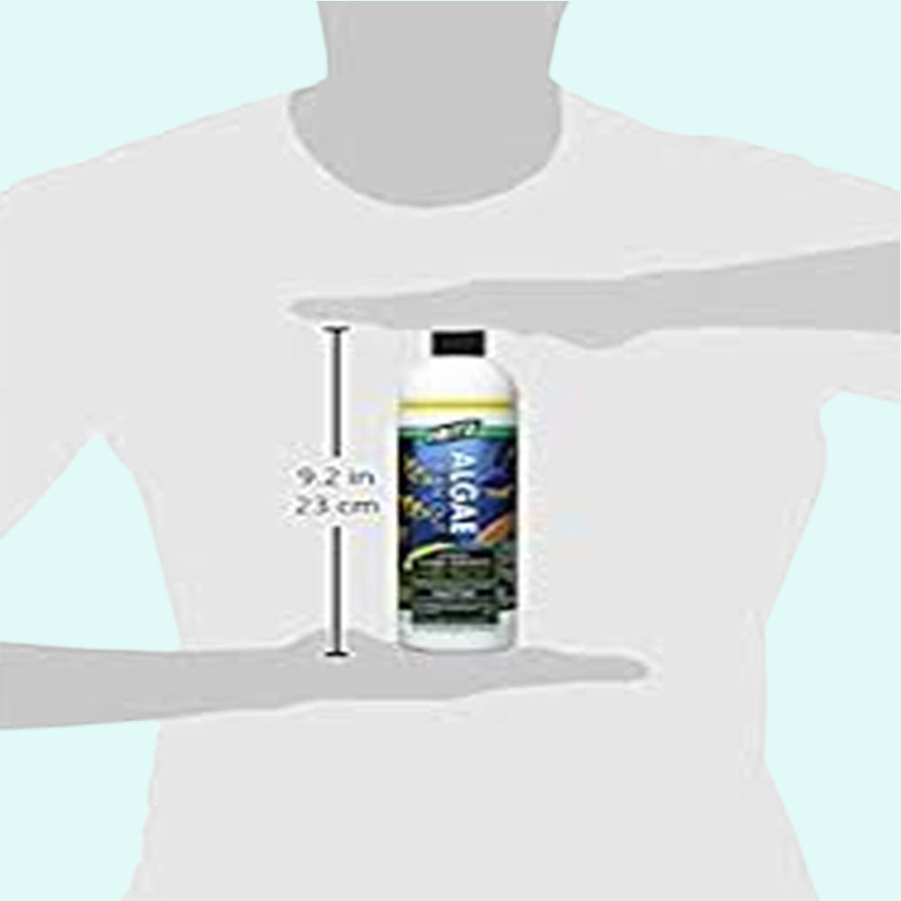 side profile of Fritz Algae Clean Out Parent (8 oz) live houseplant from Divine Roots