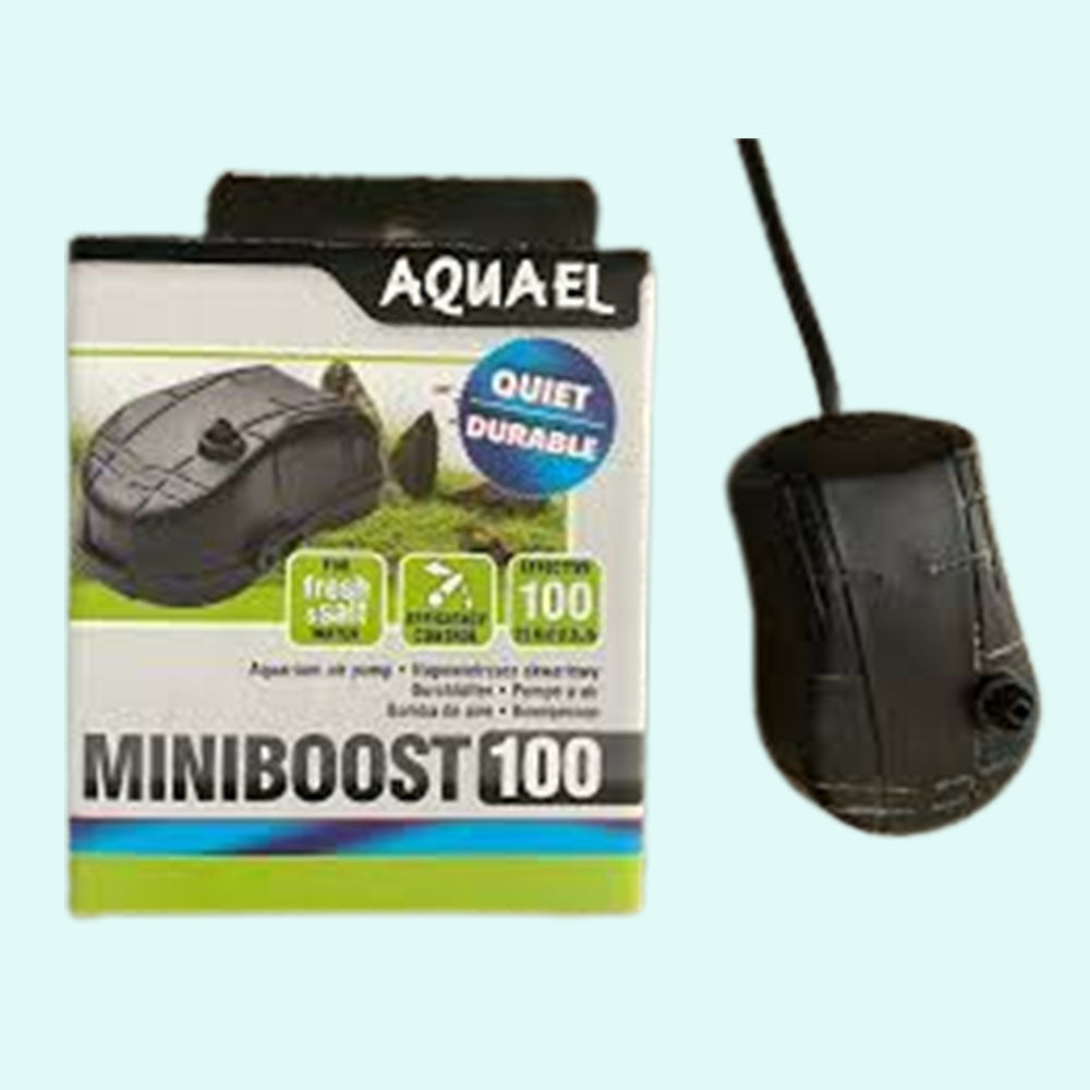 full view of Aquael MiniBoost 100 Aquarium Air Pump live houseplant from Divine Roots