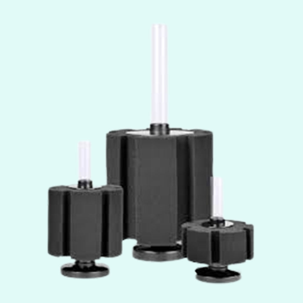 HIKARI Bacto-Surge Foam Filter Mini live houseplant from Divine Roots