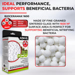 mature specimen of Aquael Aquatics 115234 Bioceramax Ultrapro 1600 Filter live houseplant from Divine Roots
