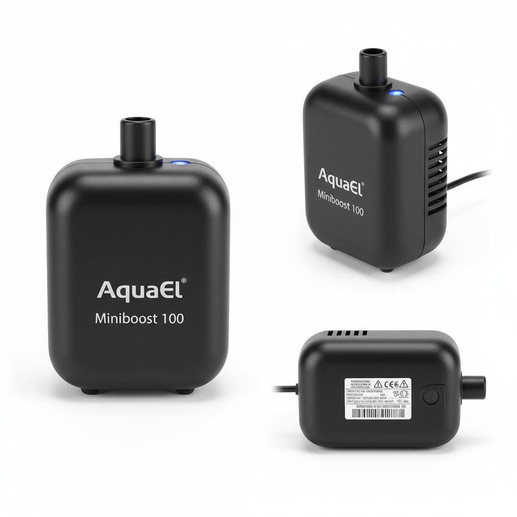 top view of AquaEl Miniboost 100 Air Pump live houseplant from Divine Roots