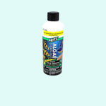 top view of Fritz Algae Clean Out Parent (8 oz) live houseplant from Divine Roots